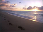 Boca Grand Florida Serenity